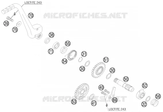 KICK KTM MOTO 125 2010 EXC  125 EXC CHAMPION EDITION