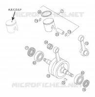 VILEBREQUIN / PISTON pour KTM 50 SENIOR ADVENTURE de 2002