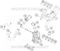 ECHAPPEMENT pour KTM 390 DUKE WHITE - B.D. de 2020