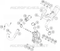 ECHAPPEMENT pour KTM 250 DUKE ORANGE CKD de 2019