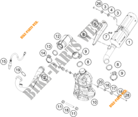 ECHAPPEMENT pour KTM 390 DUKE WHITE - CKD de 2021