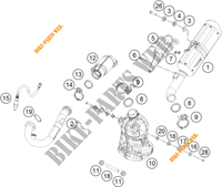 ECHAPPEMENT pour KTM 390 DUKE SILVER - B.D. de 2021