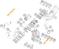 ECHAPPEMENT pour KTM 250 DUKE WHITE - B.D. de 2020