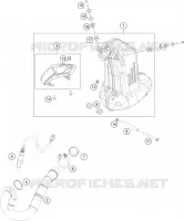 ECHAPPEMENT pour KTM 200 DUKE ORANGE NON ABS - CKD de 2020