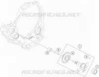 ARBRE D'EQUILIBRAGE pour KTM 250 EXC-F de 2021