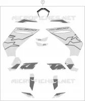 AUTOCOLLANTS pour KTM RC 200 silver ABS de 2022