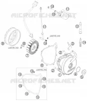 ALLUMAGE pour KTM 690 DUKE WHITE de 2008