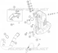 ECHAPPEMENT pour KTM 200 DUKE WHITE NON ABS de 2018